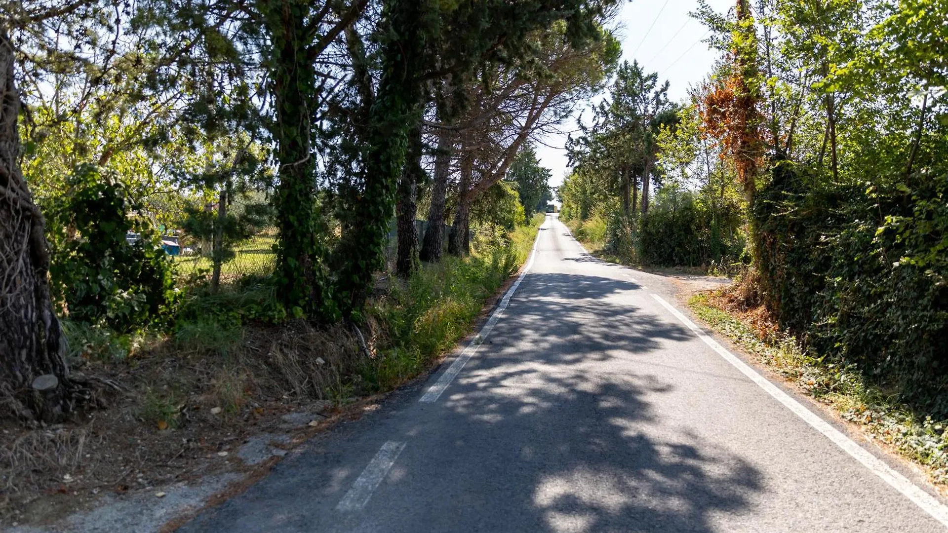 Bio Fattoria Mula D'Oro - Biofattoriamuladoro It - Organic Food, Nature & Relax Mulazzano
